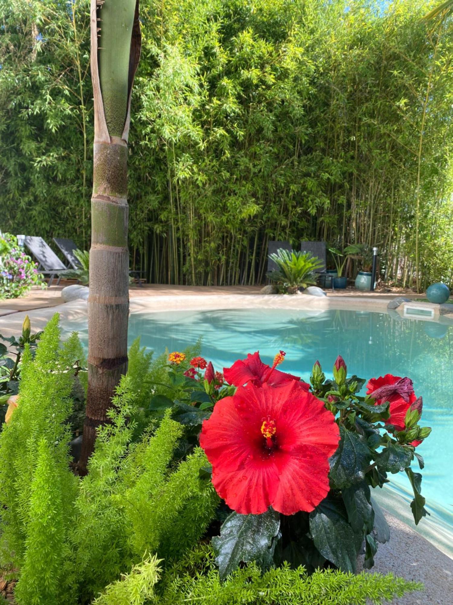 타르브 Appt Ambiance Chalet 2Ch Piscine Lagon 아파트 외부 사진